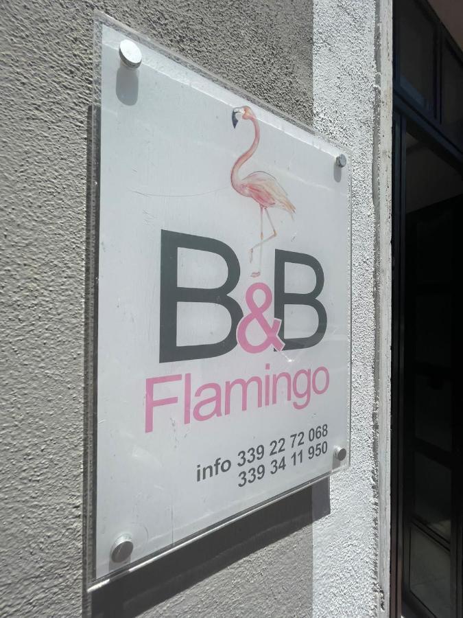 Flamingo B&B Πομπηία Εξωτερικό φωτογραφία